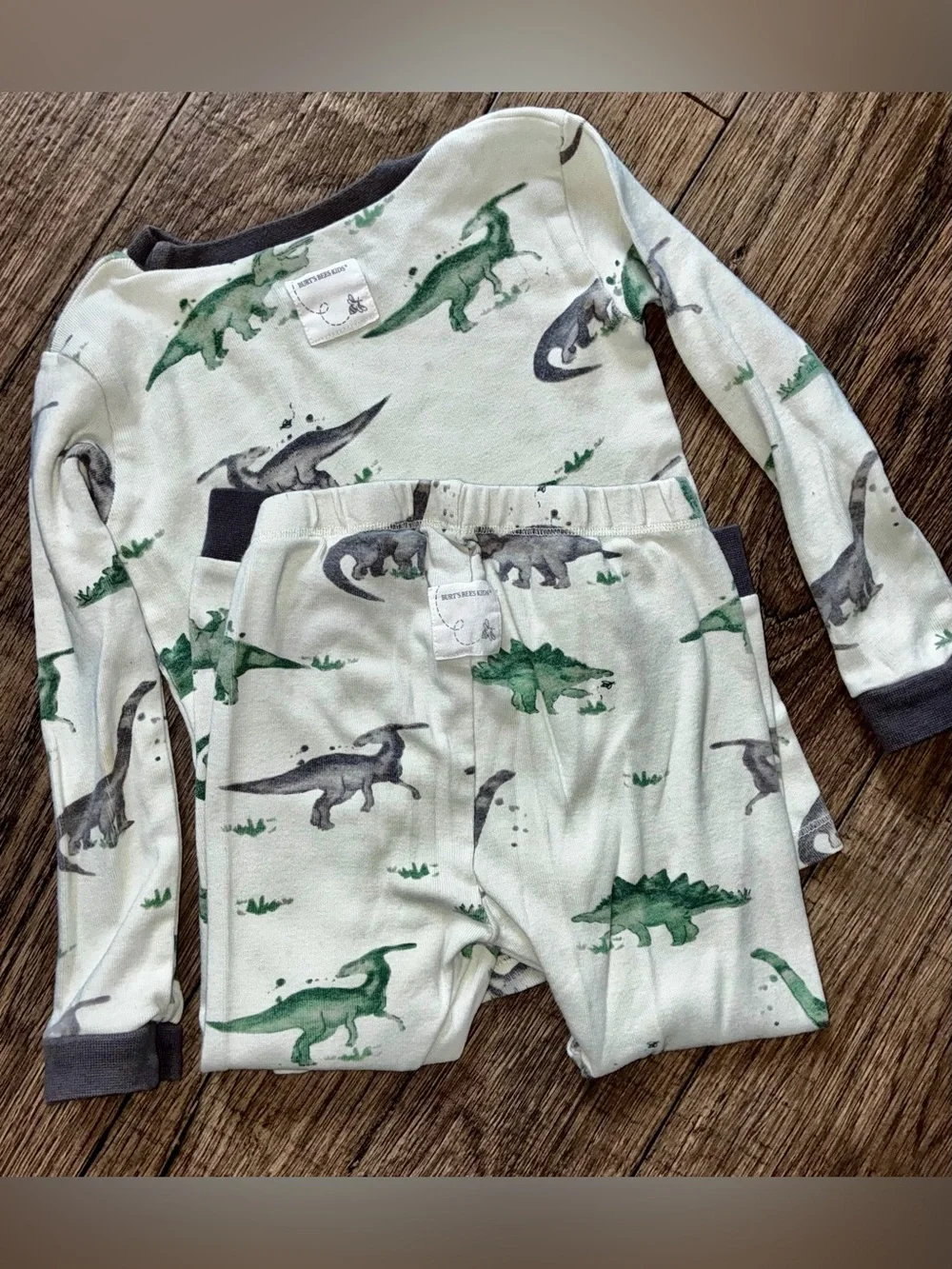 Burt's Bees Green and Gray Dinosaur Pajama Set